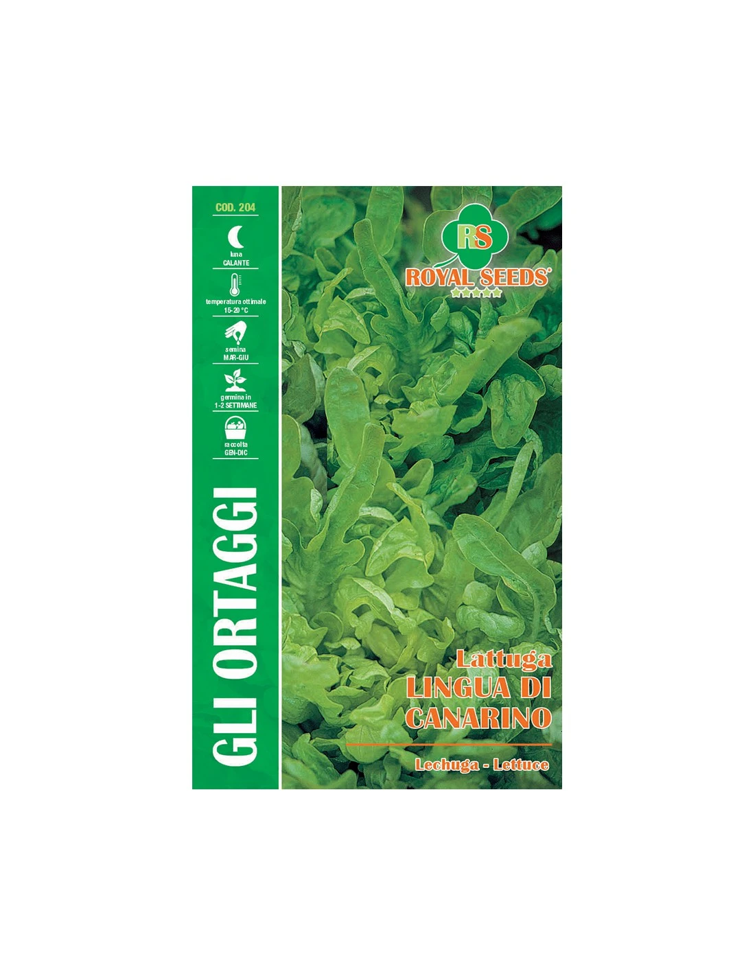 LATTUGA LINGUA DI CANARINO MAXI 1 LATTUGA LINGUA DI CANARINO MAXI