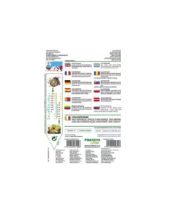 LATTUGA QUATTRO STAGIONI -Vendite Forniture Da Giardino lattuga quattro stagioni vx 1