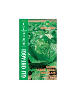 LATTUGA ROMANA VERDE DEGLI ORTOLANI MAXI