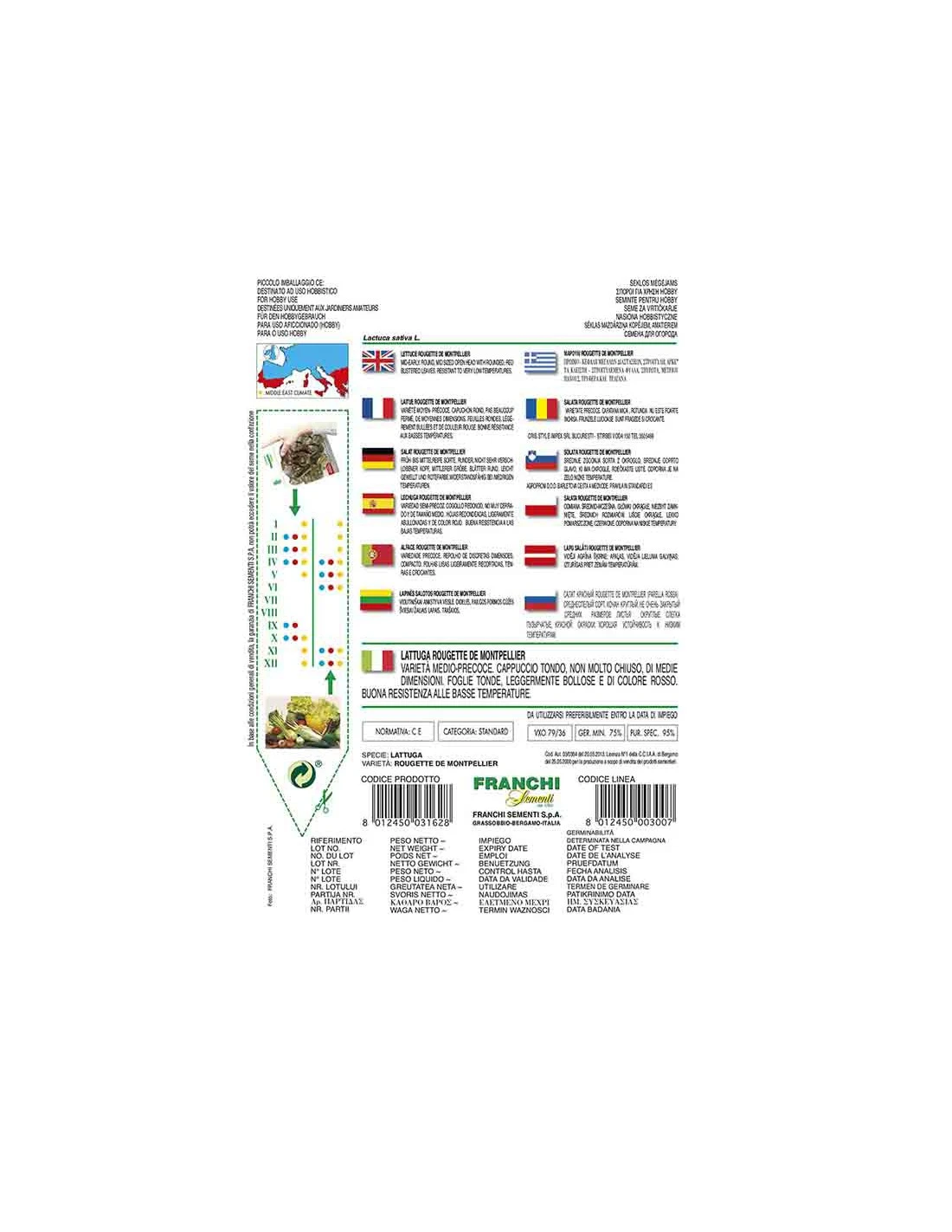 LATTUGA ROUGETTE MONTPEL. O PARELLA ROSSA 2 LATTUGA ROUGETTE MONTPEL. O PARELLA ROSSA - immagine 2