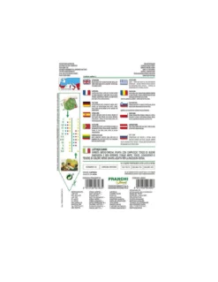 LATTUGA S.ANNA -Vendite Forniture Da Giardino lattuga s anna vx 1