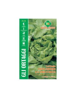 LATTUGA TROCADERO LA PREFERITA MAXI