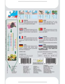 LAVANDA VERA -Vendite Forniture Da Giardino lavanda vera dba 1