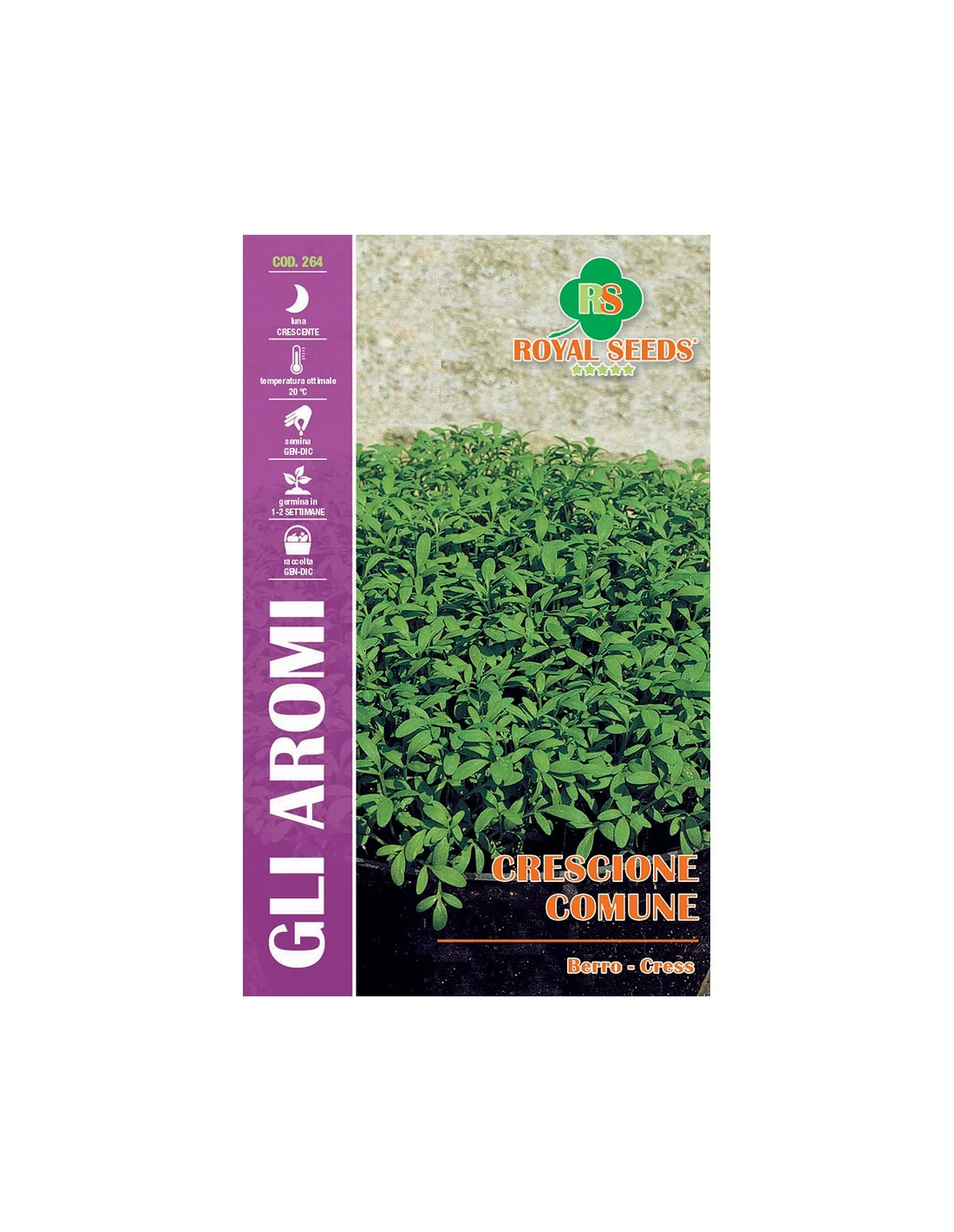 LEPIDIUM SATIVUM CRESCIONE COMUNE MAXI 1 LEPIDIUM SATIVUM CRESCIONE COMUNE MAXI