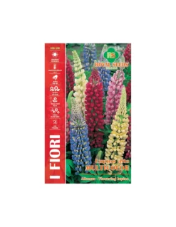 LUPINO ALTO MULTICOLOR MAXI