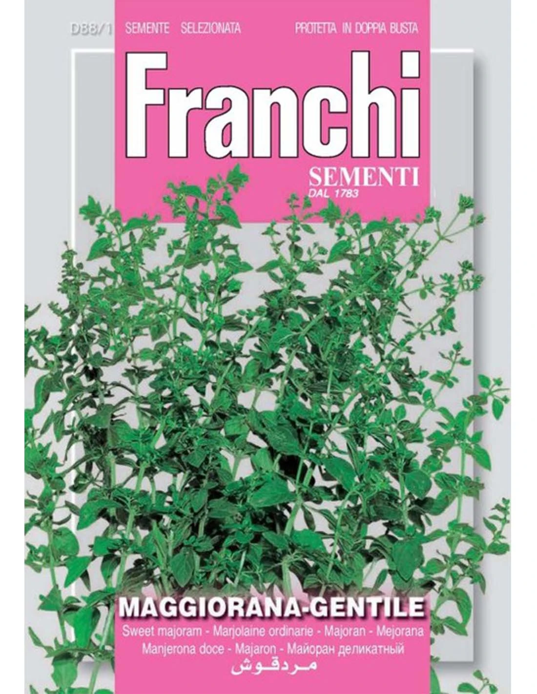 MAGGIORANA GENTILE 1 MAGGIORANA GENTILE