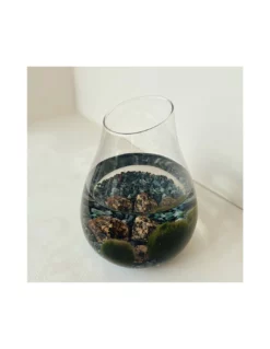 MARIMO Diametro 16 Cm Altezza 20 Cm -Vendite Forniture Da Giardino marimo diametro 16 cm altezza 20 cm 2