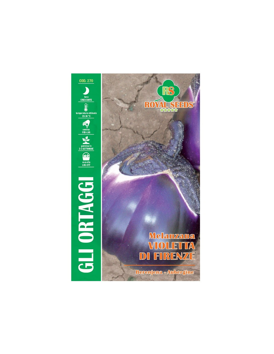 MELANZANA VIOLETTA DI FIRENZE MAXI 1 MELANZANA VIOLETTA DI FIRENZE MAXI
