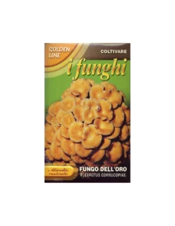 FUNGO DELL'ORO SCATOLA GOLDEN LINE