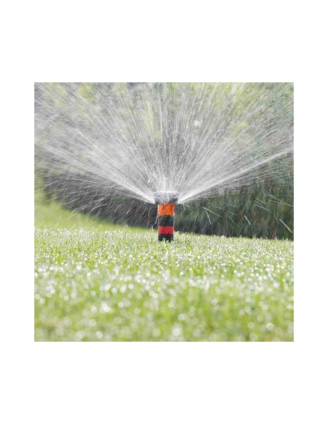 MICROIRRIGATORE COLIBRI' 360 GRADI CLABER 2 MICROIRRIGATORE COLIBRI' 360 GRADI CLABER - immagine 2