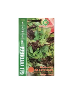 MISTICANZA DI LATTUGHE MAXI