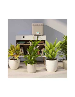 OASIS EVOLUTION CLABER 12 OASIS EVOLUTION CLABER -Vendite Forniture Da Giardino oasis evolution 2