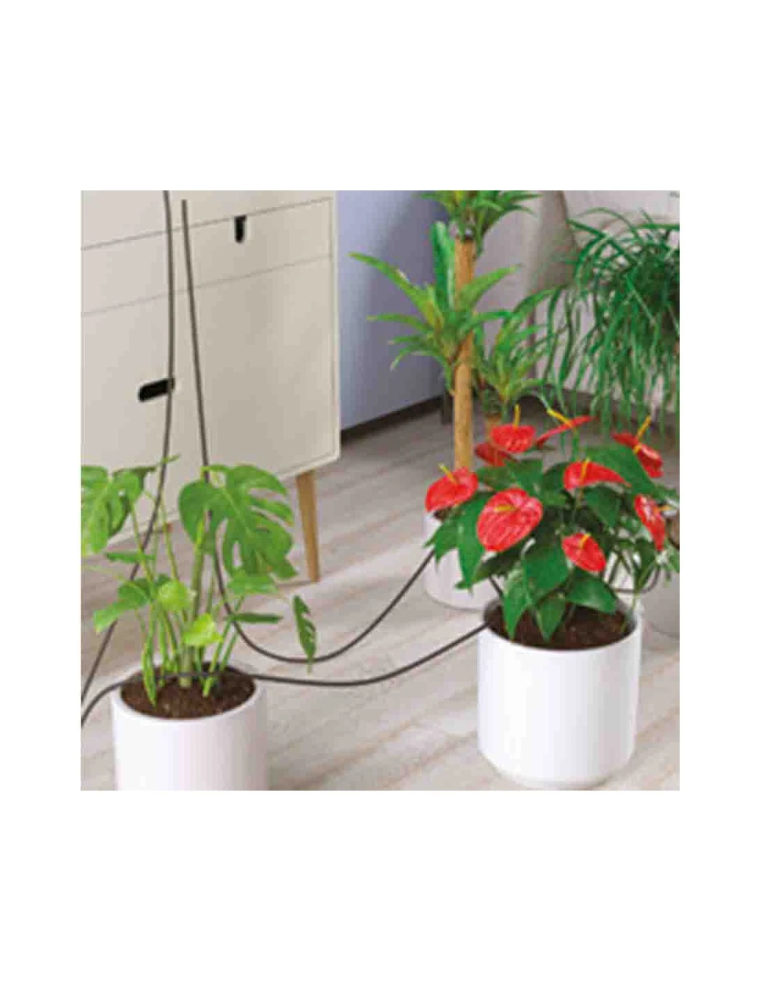 OASIS EVOLUTION CLABER 10 OASIS EVOLUTION CLABER - immagine 10