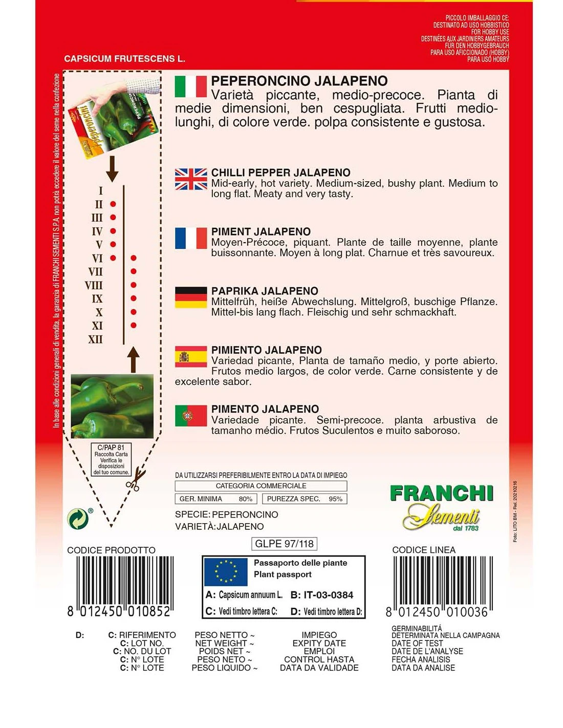 PEPERONCINO JALAPENO 2 PEPERONCINO JALAPENO - immagine 2