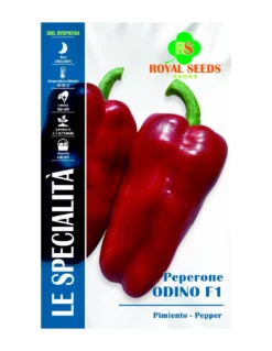 PEPERONE ODINO F1 SP