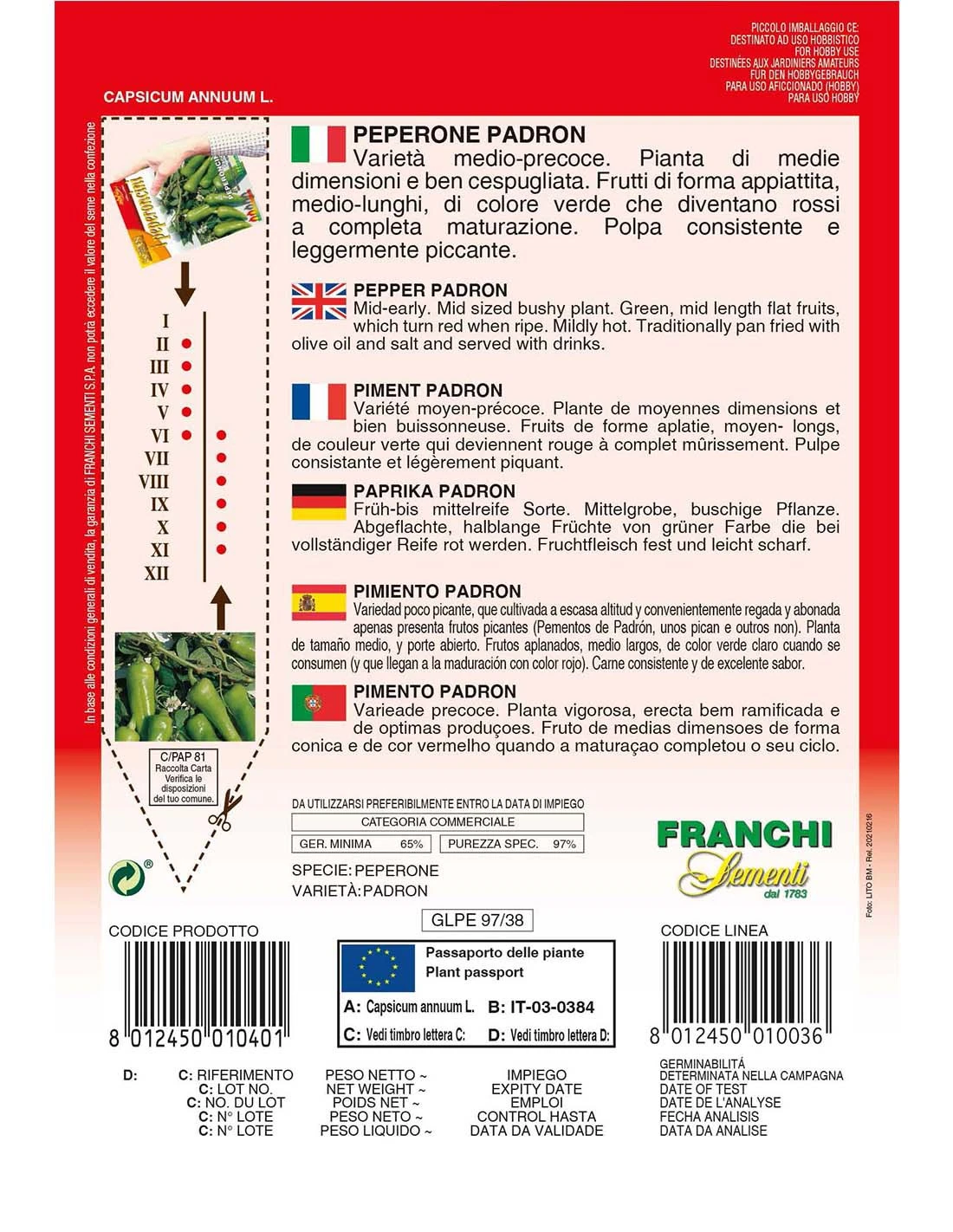 PEPERONCINO PADRON 2 PEPERONCINO PADRON - immagine 2