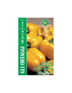 PEPERONE QUADRATO D'ASTI GIALLO MAXI