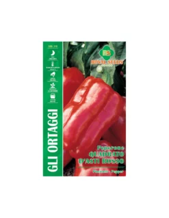 PEPERONE QUADRATO D'ASTI ROSSO MAXI