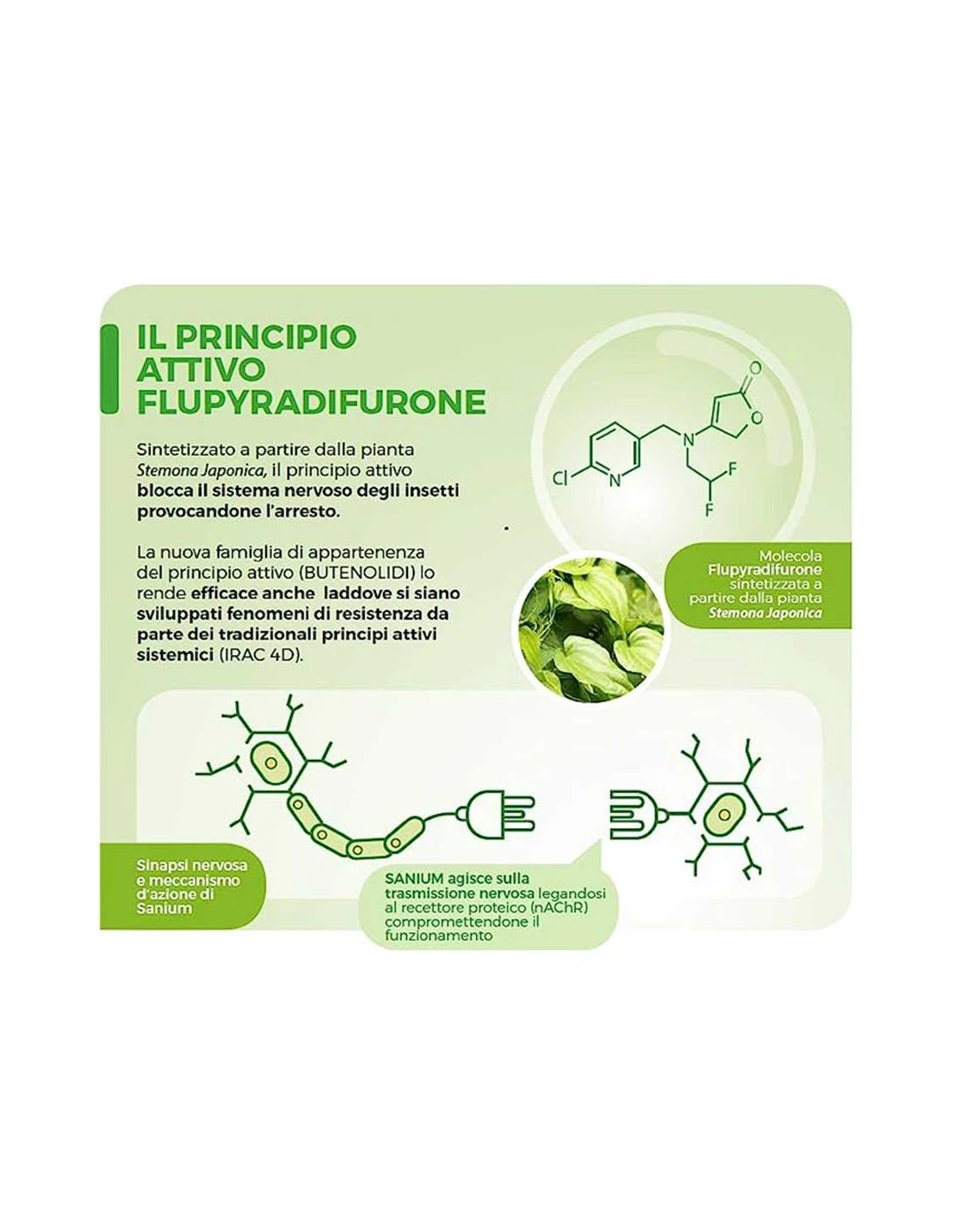 PG SANIUM SL PE 100ML Insetticida Sistemico Concentrato Per Colture Orticole E Frutta 2 PG SANIUM SL PE 100ML Insetticida Sistemico Concentrato Per Colture Orticole E Frutta - immagine 2