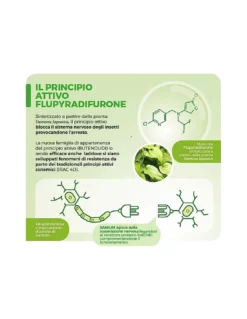 PG SANIUM SL PO 5ML Insetticida Sistemico Concentrato -Vendite Forniture Da Giardino pg sanium sl po 5ml insetticida sistemico concentrato 2