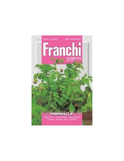 PIMPINELLA