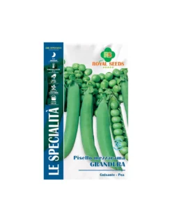 PISELLO M.R. GRANDERA 200 GR