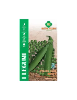 PISELLO NANO MISTY 500 GR