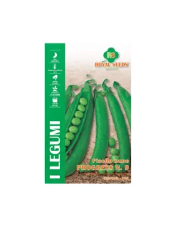 PISELLO PROGRESS 9 - B 100 GR