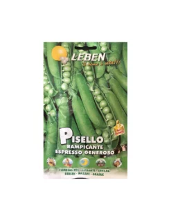 PISELLO RAMPICANTE GENEROSO LBP
