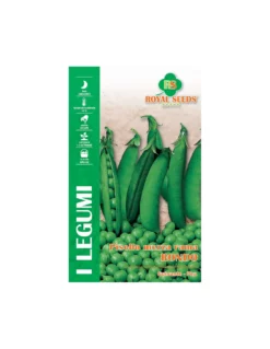 PISELLO RONDO 100 GR