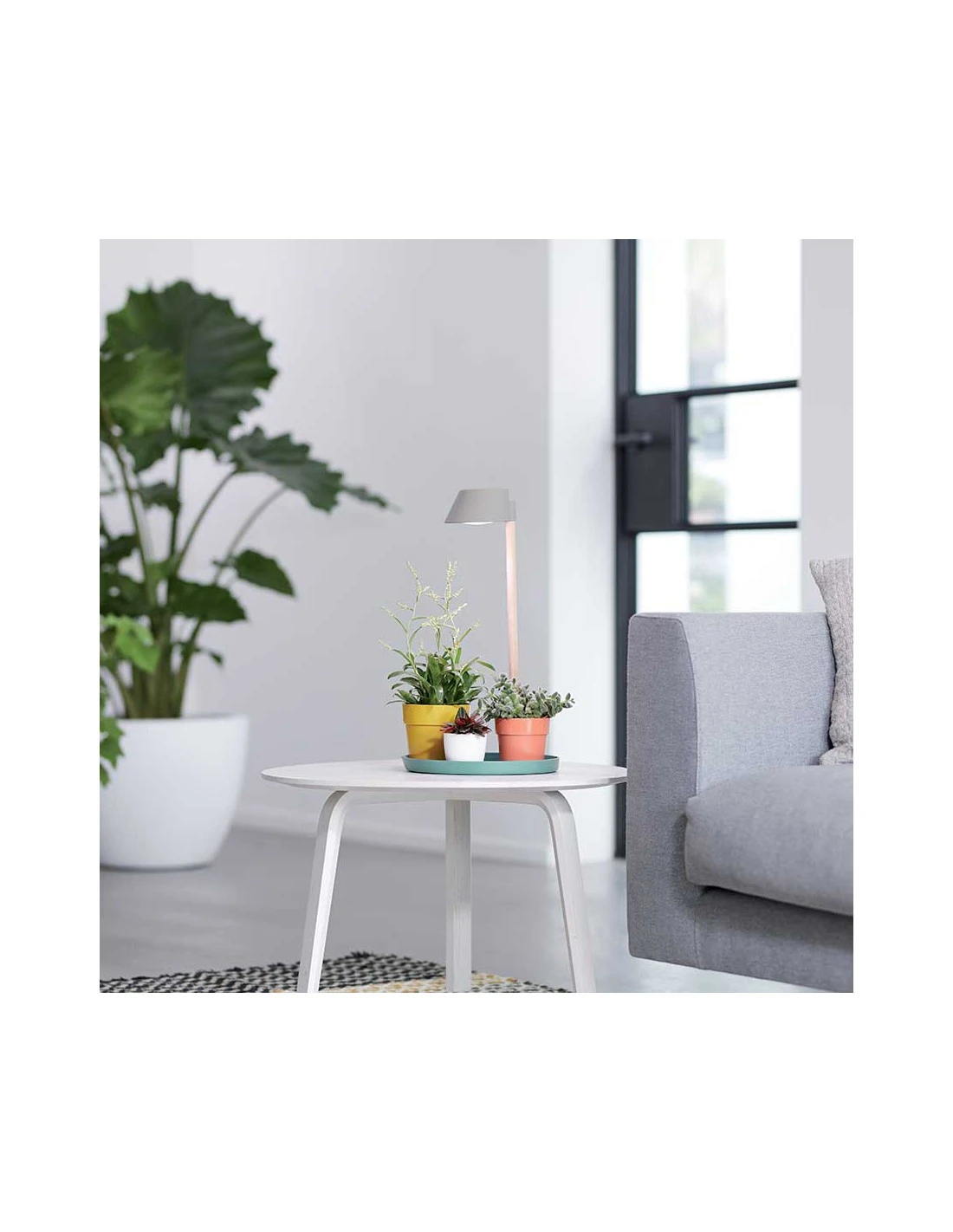 Elho PLANT LIGHT CARE GLACIER GREY 2 Elho PLANT LIGHT CARE GLACIER GREY - immagine 2