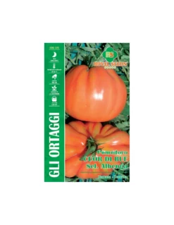 POMODORO CUOR DI BUE SEL.ALBENGA RS MAXI