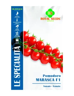 POMODORO MARASCA IBRID.F1 SP