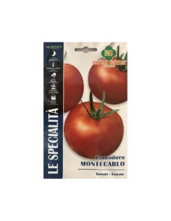 POMODORO MONTECARLO F1 SP