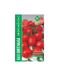 POMODORO PRINCIPE BORGHESE MAXI