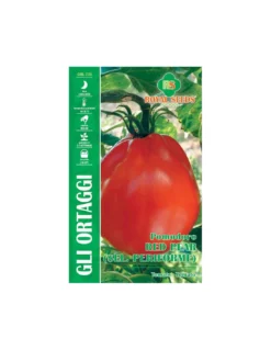 POMODORO RED PEAR SELEZIONE PERIFORME