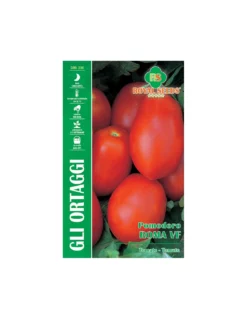 POMODORO ROMA VF MAXI