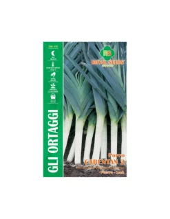 PORRO CARENTAN 2 MAXI