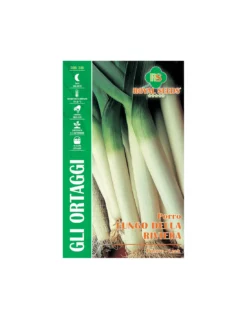 PORRO LUNGO DELLA RIVIERA MAXI