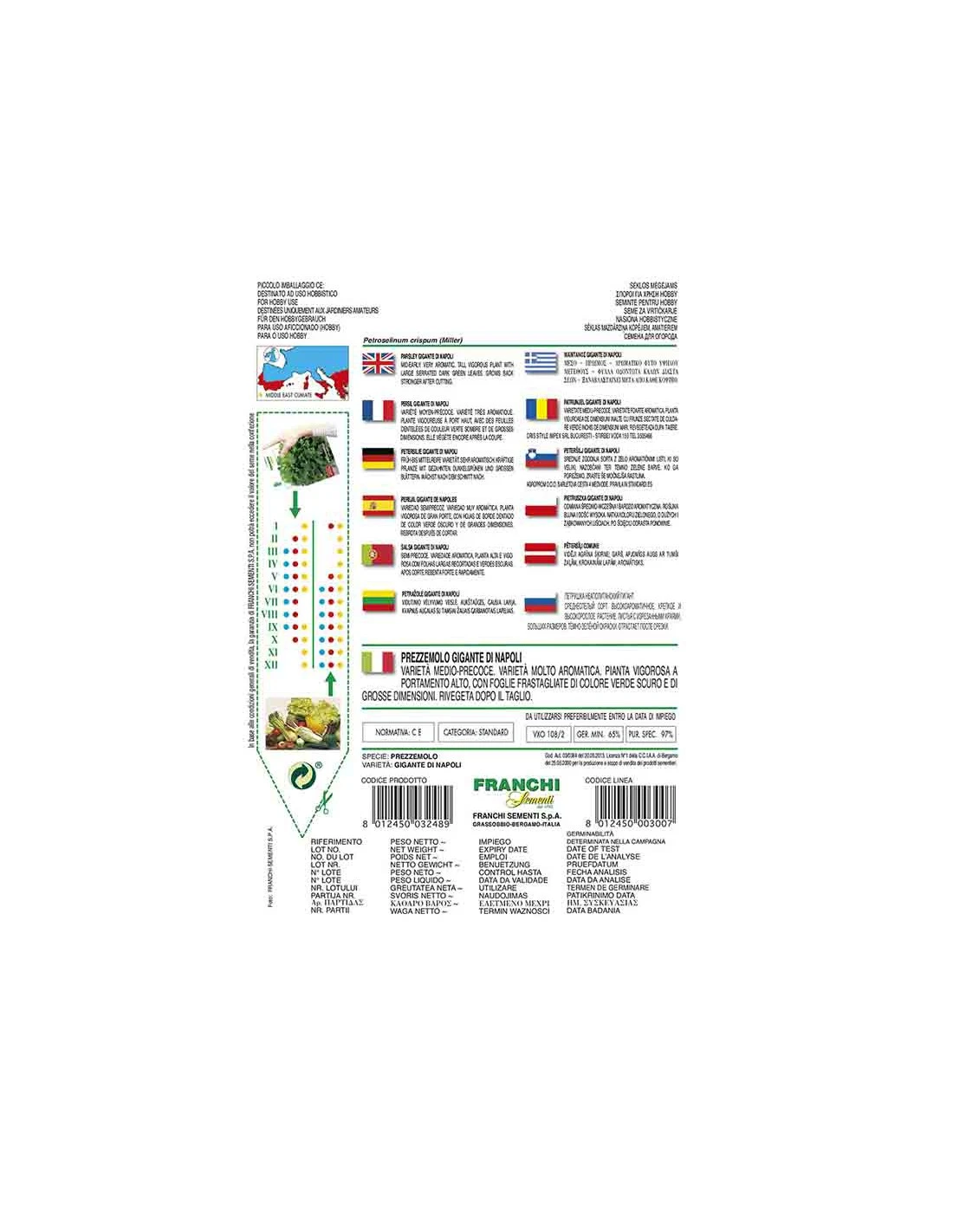 PREZZEMOLO GIGANTE DI NAPOLI 2 PREZZEMOLO GIGANTE DI NAPOLI - immagine 2