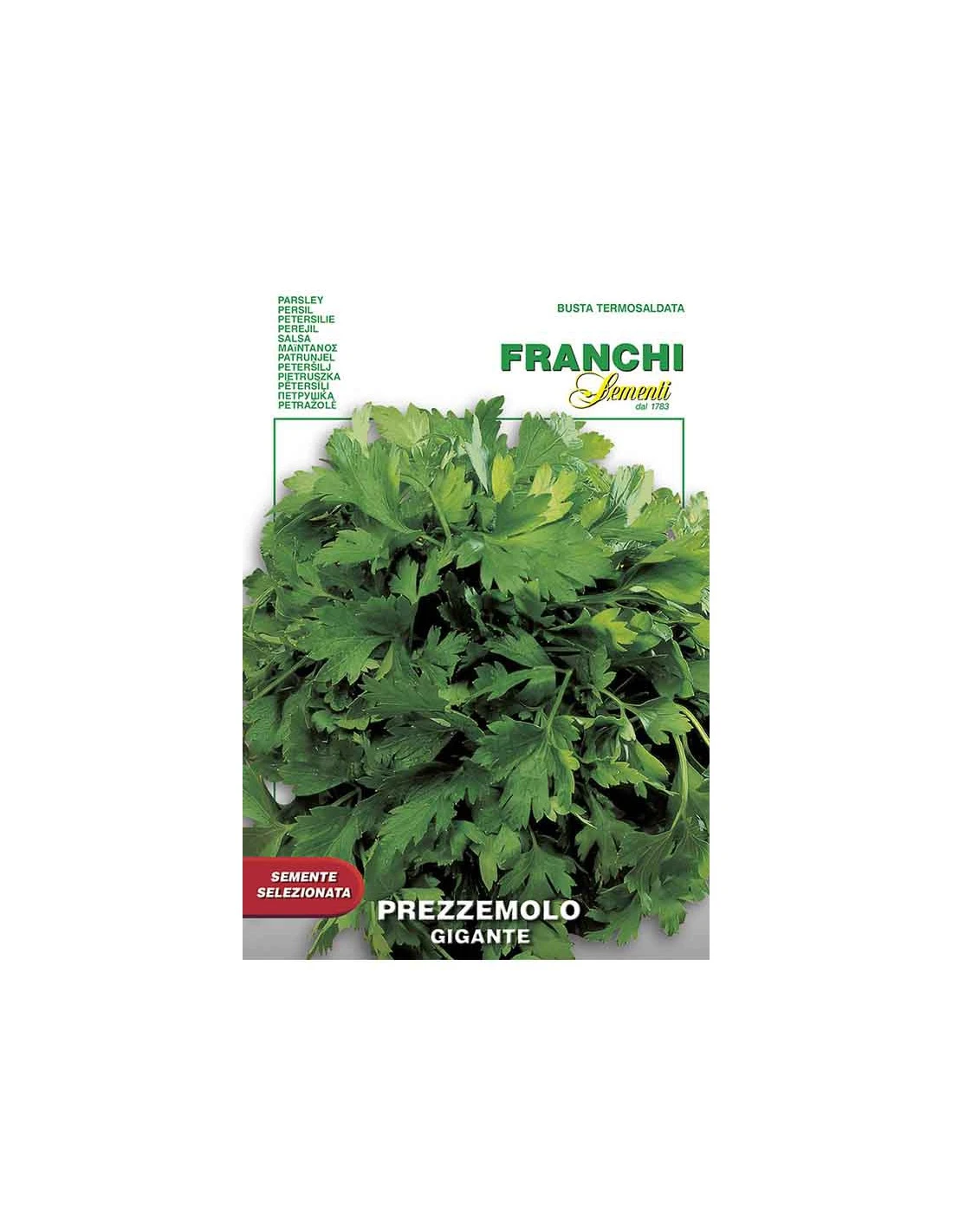 PREZZEMOLO GIGANTE DI NAPOLI 1 PREZZEMOLO GIGANTE DI NAPOLI