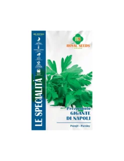 PREZZEMOLO GIGANTE NAPOLI SP