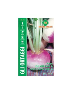 RAPA DI MILANO A COLLETTO VIOLA MAXI