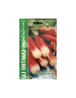 RAVANELLO FLAMBOYANT 3 MAXI