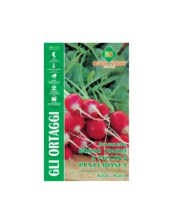 RAVANELLO ROSSO TONDO PICC.PUNTA B. MAXI