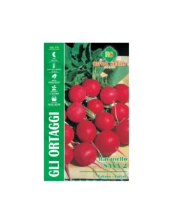 RAVANELLO SAXA 2 MAXI