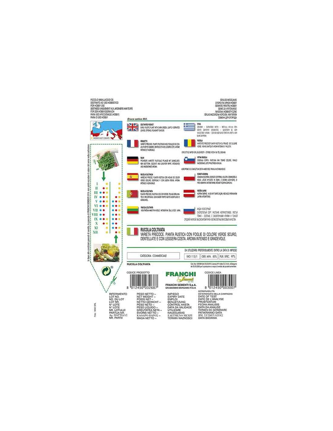 RUCOLA COLTIVATA 2 RUCOLA COLTIVATA - immagine 2