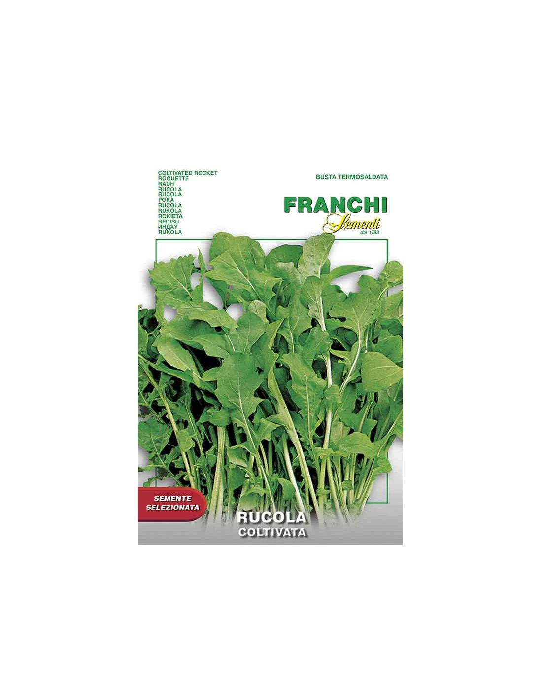 RUCOLA COLTIVATA 1 RUCOLA COLTIVATA