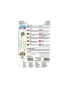 RUCOLA SELVATICA -Vendite Forniture Da Giardino rucola selvatica vx 1