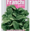 SALVIA OFFICINALE